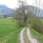 Bild Bonaduzer Alp (Variante Cauma) 17 