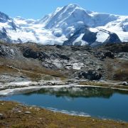 Bild Gornergrat, Zermatt 13 Bild Gornergrat, Zermatt 13