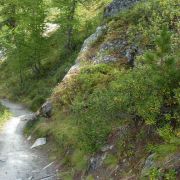 Bild Gornergrat, Zermatt 25 Bild Gornergrat, Zermatt 25