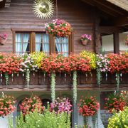 Bild Gornergrat, Zermatt 32 Bild Gornergrat, Zermatt 32