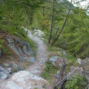 Bild Gornergrat, Zermatt 34 Bild Gornergrat, Zermatt 34