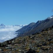 Bild Gornergrat, Zermatt 6 Bild Gornergrat, Zermatt 6