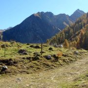 Bild Surava - Alp Ozur - Alp Era 20 