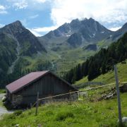 Bild Alp Tscharnoz (Bella Vista, 658 Savognin) 14 