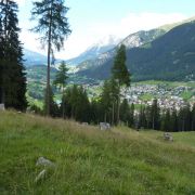 Bild Alp Tscharnoz (Bella Vista, 658 Savognin) 27 