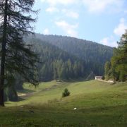 Bild Monte Roen, Tramin (Südtirol) 5 