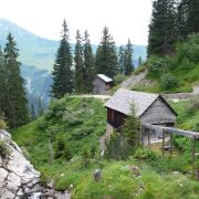 Bild Seewis - Alp Vals - Fanas 5 