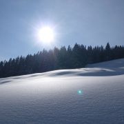 Bild Safien - Camana  (Winter-Tour) 16 