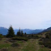 Bild Dutjer Alp 6 