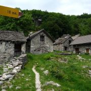 Bild Rasa 10 Bild Rasa 10