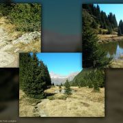 Bild Savognin - Alp Flix (Teilstück 660) 11 