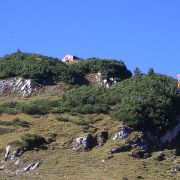 Bild Ringelspitz Hütte SAC 5 