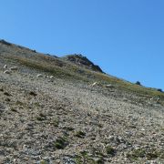 Bild Boccetta di Forcola - Boccetta di Pedenolo 16 