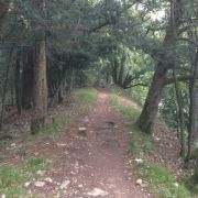 Bild Olten-Trails 2 