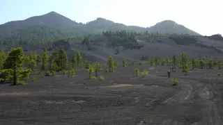 Königsweg (Camino real), La Palma (Kanaren) Bild Königsweg (Camino real), La Palma (Kanaren)