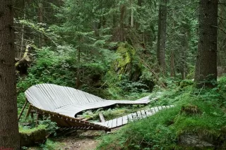 TREK Runcatrail 2014 Bild TREK Runcatrail 2014