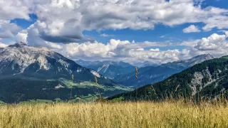 Themenbild Savognin - Obermutten - Thusis Trailtour