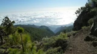 Bild Roque Kante Ost (Einstiegsvariante), La Palma (Kanaren)
