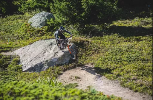 MTB Event Bild Swiss Enduro Series - Aletsch Arena / Bellwald