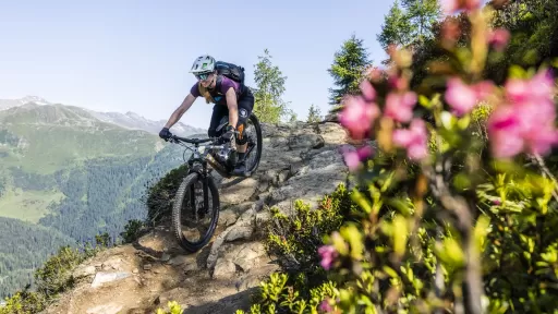 Bild Singletrail Paradies Davos Klosters