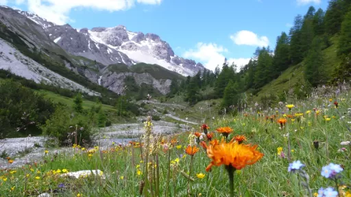Mountainbike TourSta. Maria - Livigno Tour-Bild Sta. Maria - Livigno