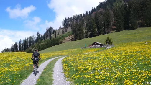 Mountainbike TourHeidialp (Fläsch) Tour-Bild Heidialp (Fläsch)