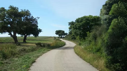 Mountainbike TourHinterland Grosseto - Scansano, Toscana Tour-Bild Hinterland Grosseto - Scansano, Toscana