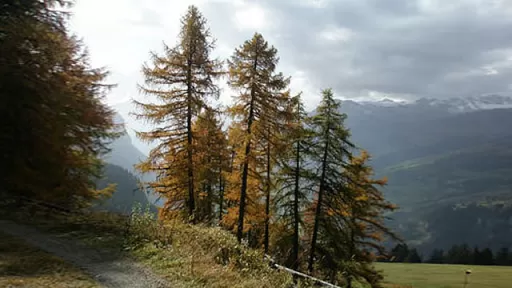 Mountainbike TourSamest Tour-Bild Samest
