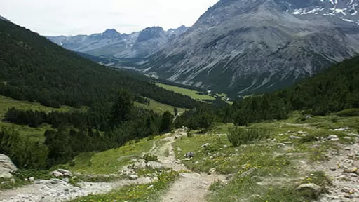Mountainbike TourVal Mora - Buffalora Tour-Bild Val Mora - Buffalora