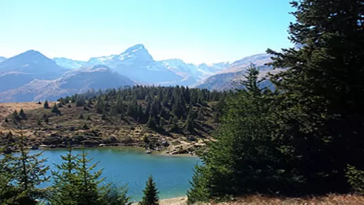Mountainbike TourSavognin - Alp Flix (Teilstück 660) Tour-Bild Savognin - Alp Flix (Teilstück 660)