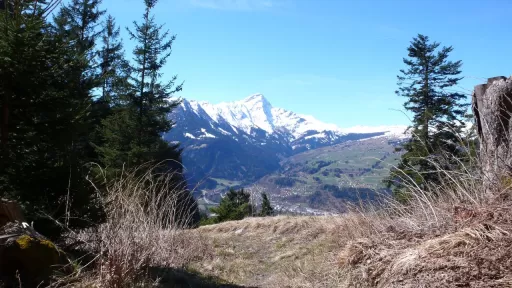 Mountainbike TourVandagna Trail Tour-Bild Vandagna Trail
