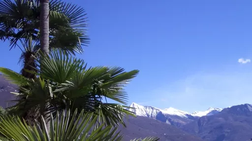 Tour-Bild Monte Verità bei Ascona