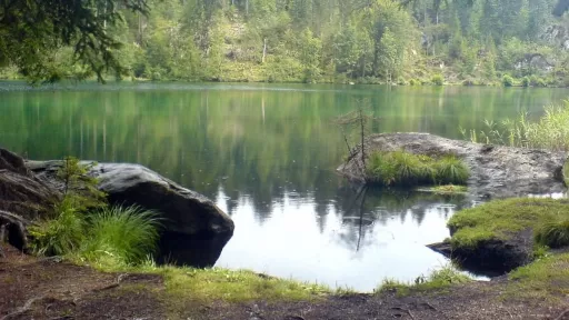 Tour-Bild Tamins - Crestasee (Senda Sursilvana)