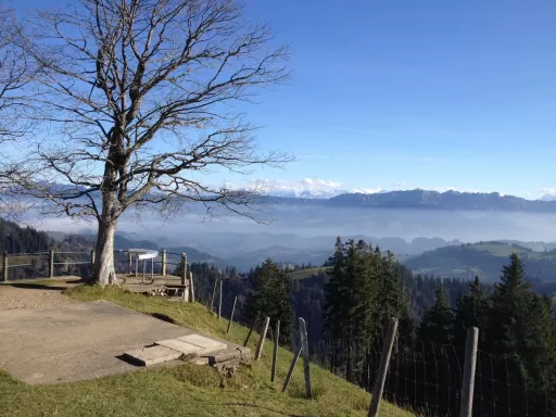 Tour-Bild Ahorn-Napf