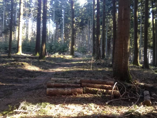 Tour-Bild Diegenstal-Stierenberg