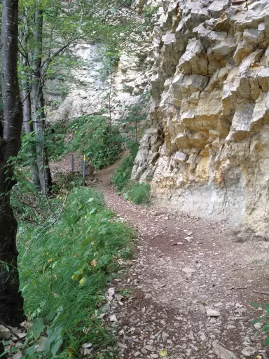 Tour-Bild Brunnersberg-Weissenstein