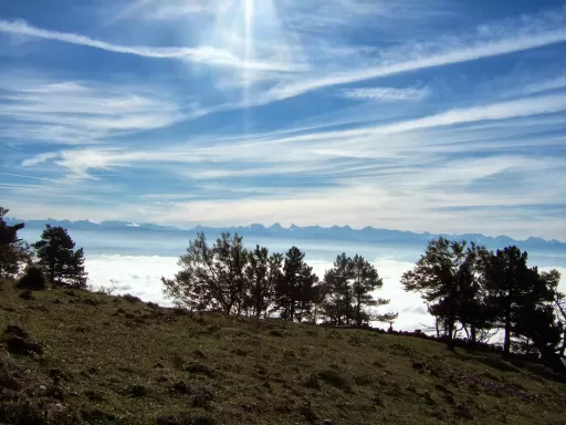 Tour-Bild Wald und Hügel Suree-Büron-Rickenbach-Schenkon (lang)