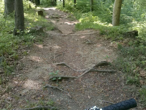 Tour-Bild Schwerzenbach/Dübendorf Lorenkopf/Züriberg Feierabend Trailrunde