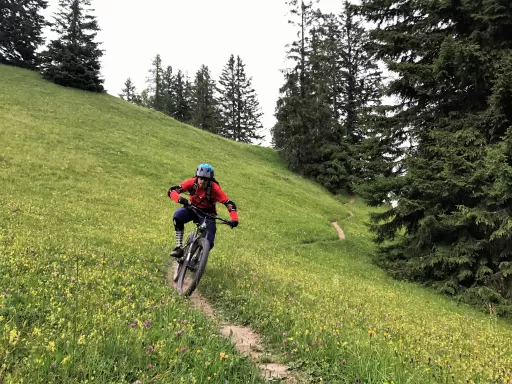 Tour-Bild Maladerser Heuberge – Kaltbrunntobel