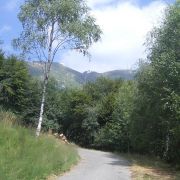 Bild Monte Lema 1 