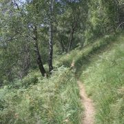 Bild Monte Lema 7 