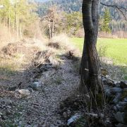 Bild Trin - Ruinaulta 7 