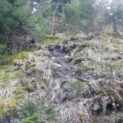 Bild Bonaduzer Alp (Variante Cauma) 11 