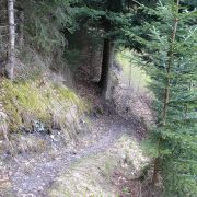 Bild Bonaduzer Alp (Variante Cauma) 14 