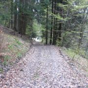 Bild Bonaduzer Alp (Variante Cauma) 16 