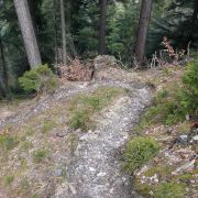 Bild Bonaduzer Alp (Variante Cauma) 10 