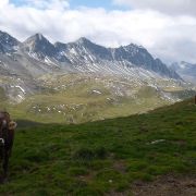 Bild Es-cha Hütte SAC 6 