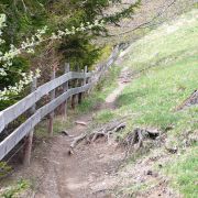 Bild Heidialp (Fläsch) 11 