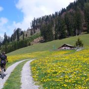 Bild Heidialp (Fläsch) 8 