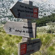 Bild Coll de l'Ofre (Mallorca) 7 